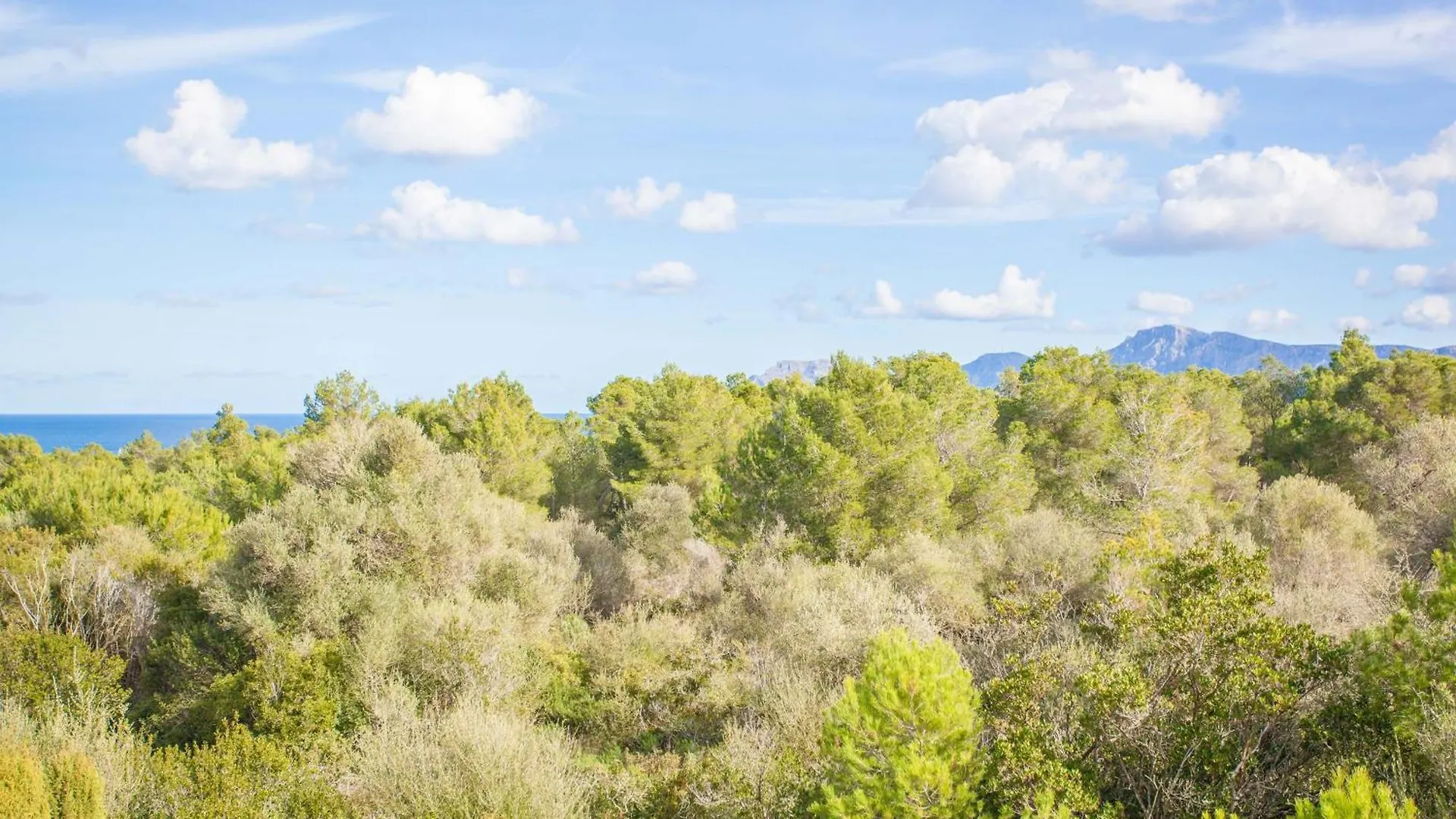 Holiday home Rudy Villa Son Serra de Marina
